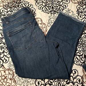 Democracy Ankle Jeans, Size 16